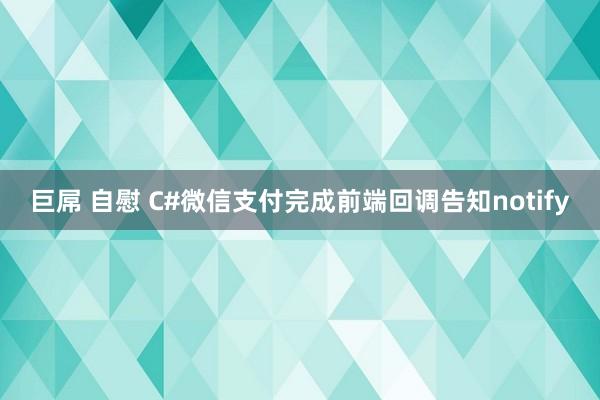 巨屌 自慰 C#微信支付完成前端回调告知notify