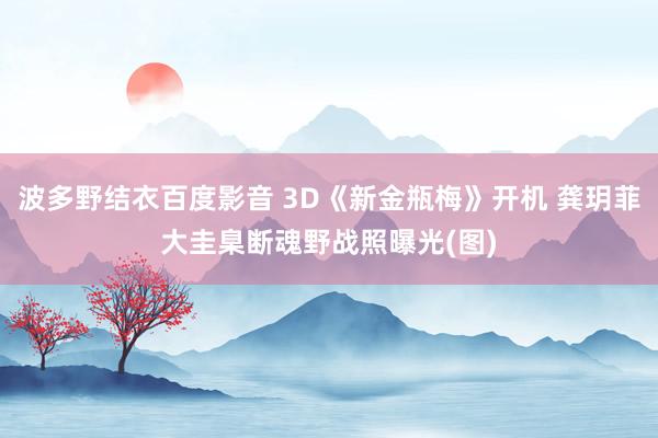 波多野结衣百度影音 3D《新金瓶梅》开机 龚玥菲大圭臬断魂野战照曝光(图)