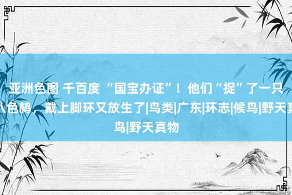 亚洲色图 千百度 “国宝办证”！他们“捉”了一只仙八色鸫，戴上脚环又放生了|鸟类|广东|环志|候鸟|野天真物