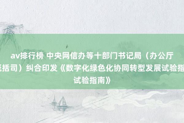 av排行榜 中央网信办等十部门书记局（办公厅、概括司）纠合印发《数字化绿色化协同转型发展试验指南》