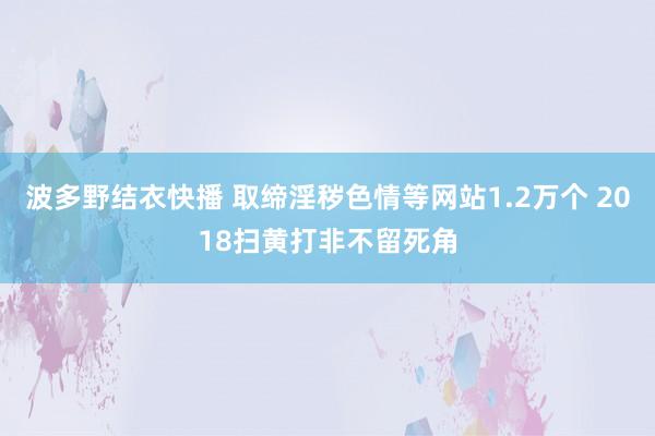 波多野结衣快播 取缔淫秽色情等网站1.2万个 2018扫黄打非不留死角