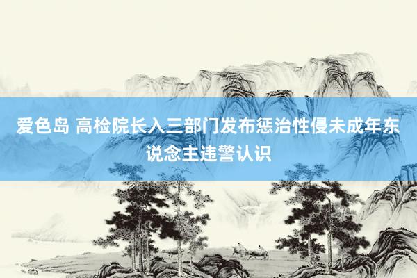 爱色岛 高检院长入三部门发布惩治性侵未成年东说念主违警认识