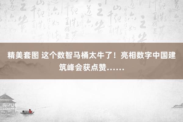 精美套图 这个数智马桶太牛了！亮相数字中国建筑峰会获点赞……