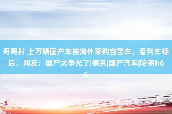 哥哥射 上万辆国产车被海外采购当警车，看到车标后，网友：国产太争光了|德系|国产汽车|哈弗h6