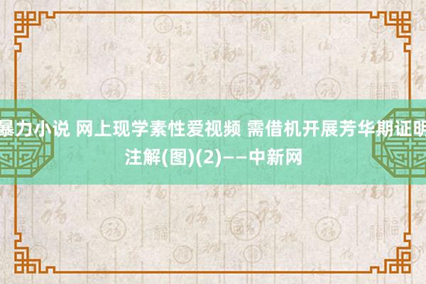 暴力小说 网上现学素性爱视频 需借机开展芳华期证明注解(图)(2)——中新网