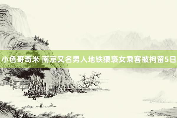 小色哥奇米 南京又名男人地铁猥亵女乘客被拘留5日