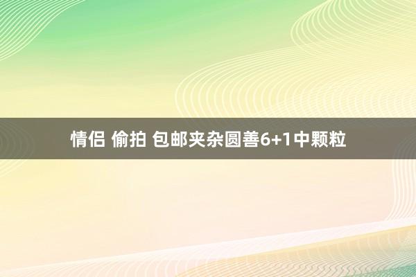 情侣 偷拍 包邮夹杂圆善6+1中颗粒