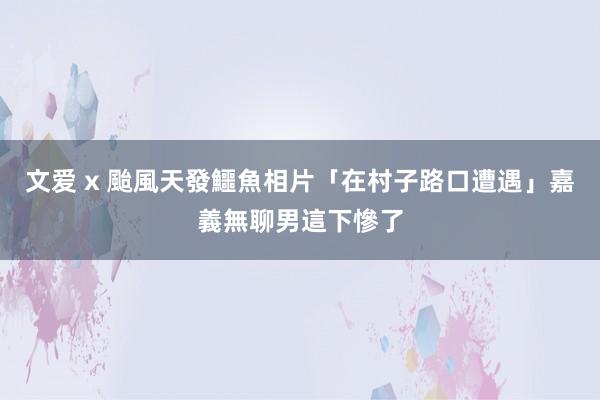 文爱 x 颱風天發鱷魚相片「在村子路口遭遇」　嘉義無聊男這下慘了