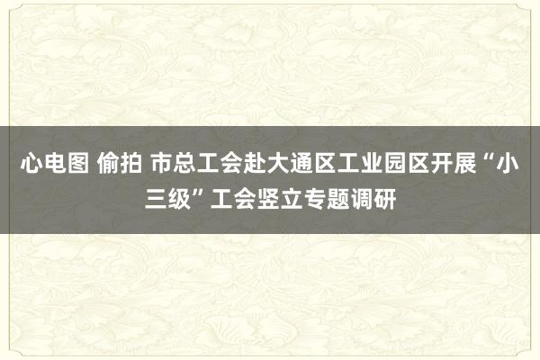 心电图 偷拍 市总工会赴大通区工业园区开展“小三级”工会竖立专题调研